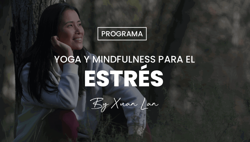 Programa de Yoga y Mindfulness para el Estrés