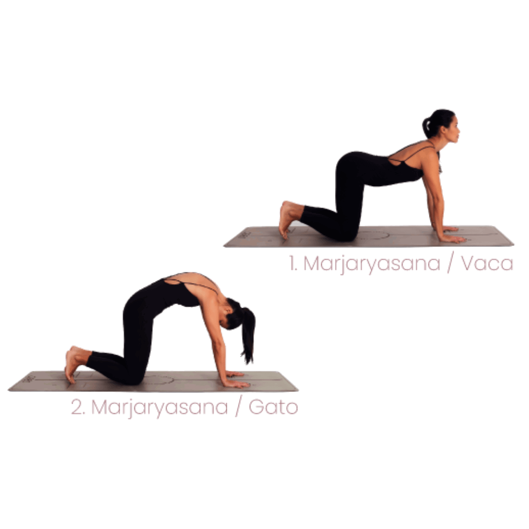 gato vaca yoga