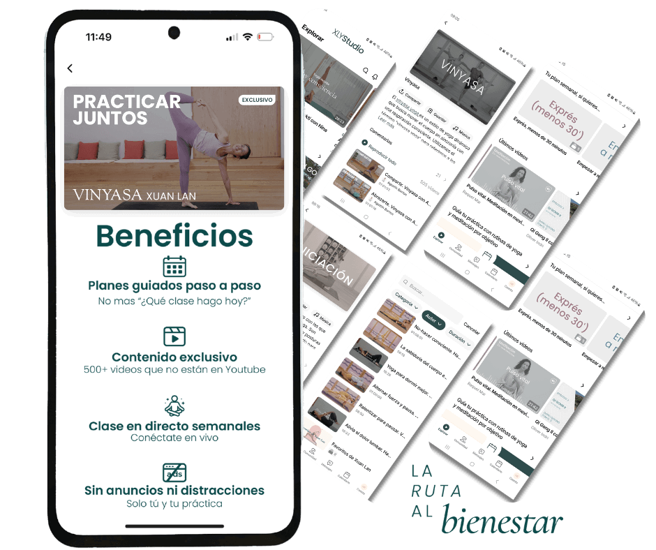 ruta al bienestar youtube