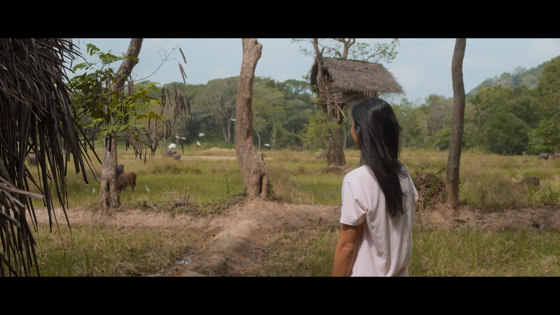 documental serie reset xuan lan
