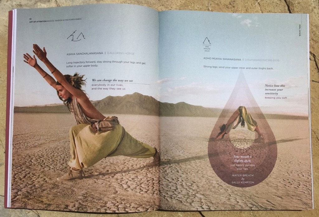 libro "Art of Attention"