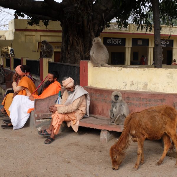 yoga en india